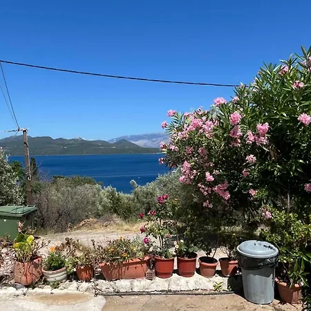 Nick House Διαμέρισμα