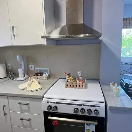 Nick House Apartment *