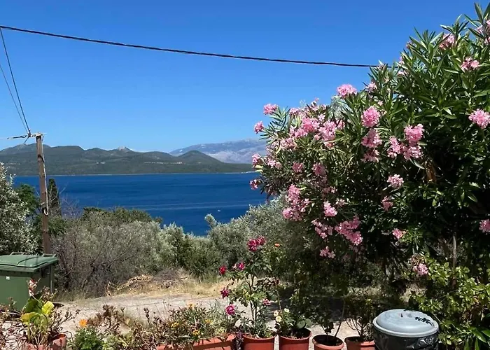 Nick House Apartment