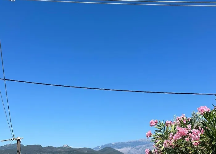 Apartment Nick House