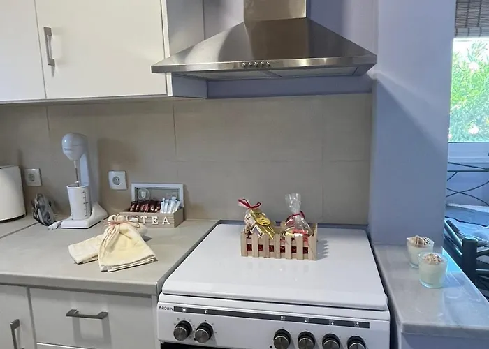 Nick House Apartment *